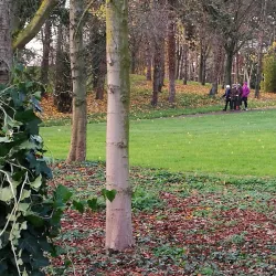 Parc Ballanger - Aulnay-sous-Bois