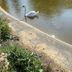 Parc Ballanger - Aulnay-sous-Bois
