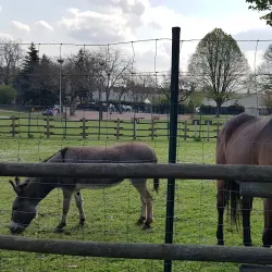 Parc Ballanger - Aulnay-sous-Bois