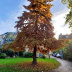Parc Dumont - Aulnay-sous-Bois