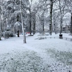 Parc Dumont - Aulnay-sous-Bois