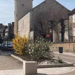 Abbey of Saint-Germain - Auxerre