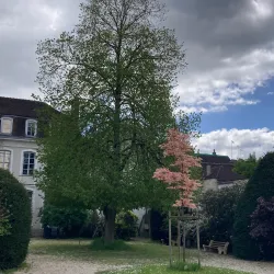 Musée Leblanc-Duvernoy - Auxerre