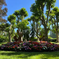 Parc de l'Arbre Sec - Auxerre