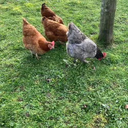Parc de l'Arbre Sec - Auxerre