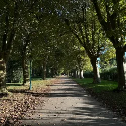 Parc de l'Arbre Sec - Auxerre
