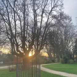 Parc de l'Arbre Sec - Auxerre