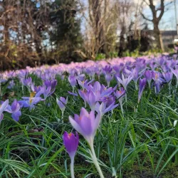 Parc de l'Arbre Sec - Auxerre