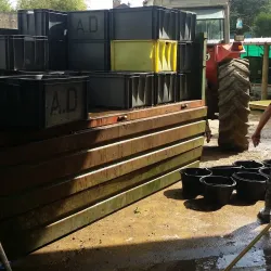 Vineyards of Auxerre - Auxerre
