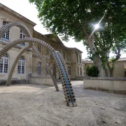 Collection Lambert - Avignon