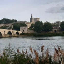 Pont Saint-Bénézet (Avignon Bridge) - Avignon