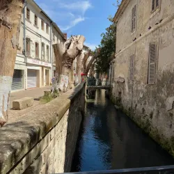 Rue des Teinturiers - Avignon