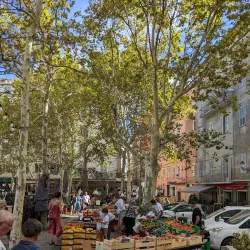 Bastia Market (Marché de Bastia) - Bastia