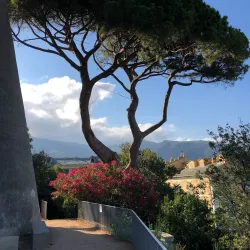 Jardin Romieu - Bastia