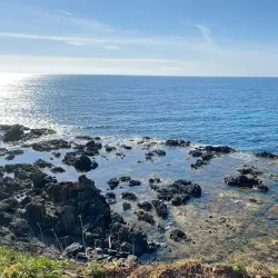 Pointe de la Parata - Bastia