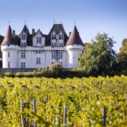 Château de Monbazillac - Bergerac
