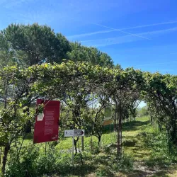 Maison des Vins de Bergerac - Bergerac