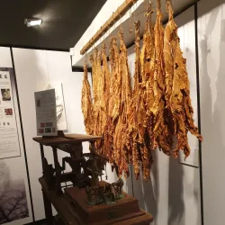 Musée du Tabac (Tobacco Museum) - Bergerac