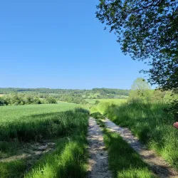 Local Walking Trails - Berny-Riviere