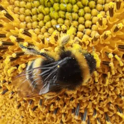 Local Walking Trails - Berny-Riviere