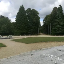 Nearby Compiègne Forest - Berny-Riviere