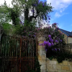 Oise River - Berny-Riviere