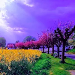 Oise River - Berny-Riviere