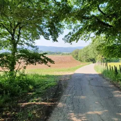 Doubs River - Besancon