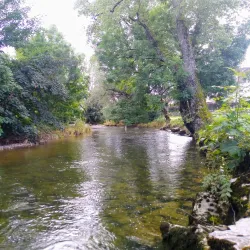 Doubs River - Besancon