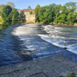 Parc Micaud - Besancon