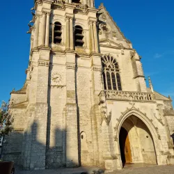 Cathédrale Saint-Louis de Blois - Blois