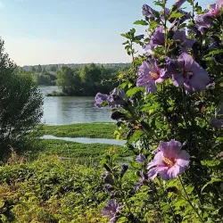 Loire River Promenade - Blois