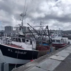 Boulogne-Billancourt Marina - Boulogne-Billancourt