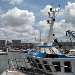 Boulogne-Billancourt Marina - Boulogne-Billancourt