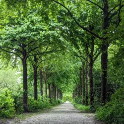 Parc de l'Île Saint-Germain - Boulogne-Billancourt