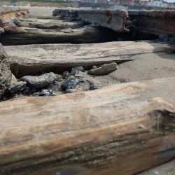 Fort de l'Heurt - Boulogne-sur-Mer