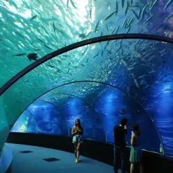 Nausicaä National Sea Centre - Boulogne-sur-Mer