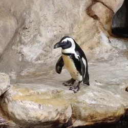 Nausicaä National Sea Centre - Boulogne-sur-Mer