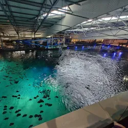 Nausicaä National Sea Centre - Boulogne-sur-Mer