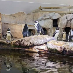 Nausicaä National Sea Centre - Boulogne-sur-Mer