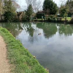 Marais de Bourges - Bourges