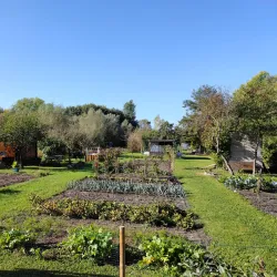 Marais de Bourges - Bourges