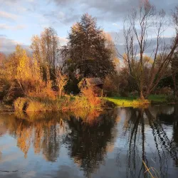 Marais de Bourges - Bourges