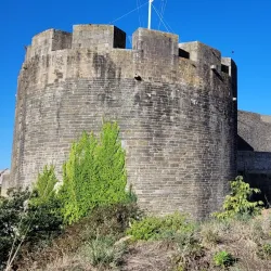 Musée National de la Marine - Brest - Brest
