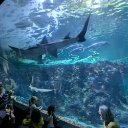 Océanopolis - Brest