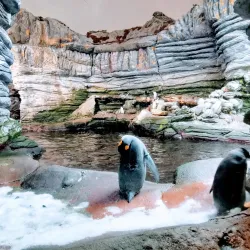 Océanopolis - Brest