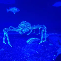 Océanopolis - Brest