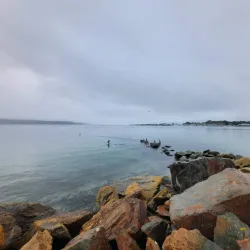 Plage du Moulin Blanc - Brest
