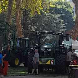 Brive-la-Gaillarde Market - Brive-la-Gaillarde