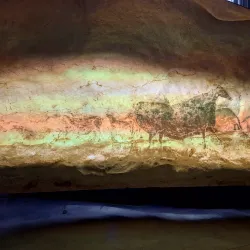 Grottes de Lascaux (nearby) - Brive-la-Gaillarde